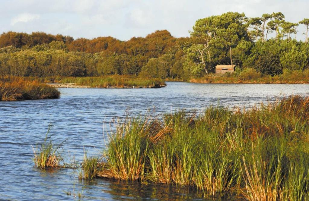 Camping Kost Ar Moor フエナン エクステリア 写真